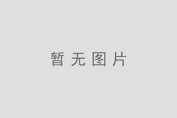 DWJ-2Z工程機械用聲光報警器