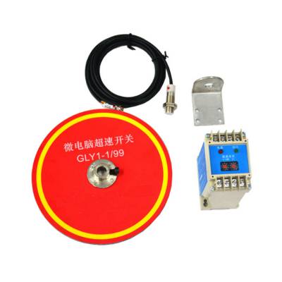 HQSK-10B-600FT速度開關井岡山電廠用