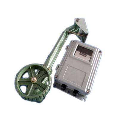 250V縱向撕裂檢測器8LS3-J